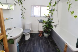 Nelson Street- click for photo gallery